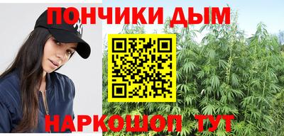 ПСИЛОЦИБИНОВЫЕ ГРИБЫ Коммунар