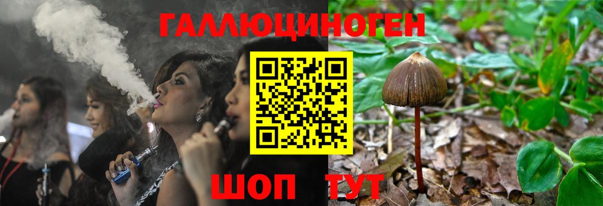 Киров  Галлюциногенные грибы Magic Shrooms  Вход с VPN 