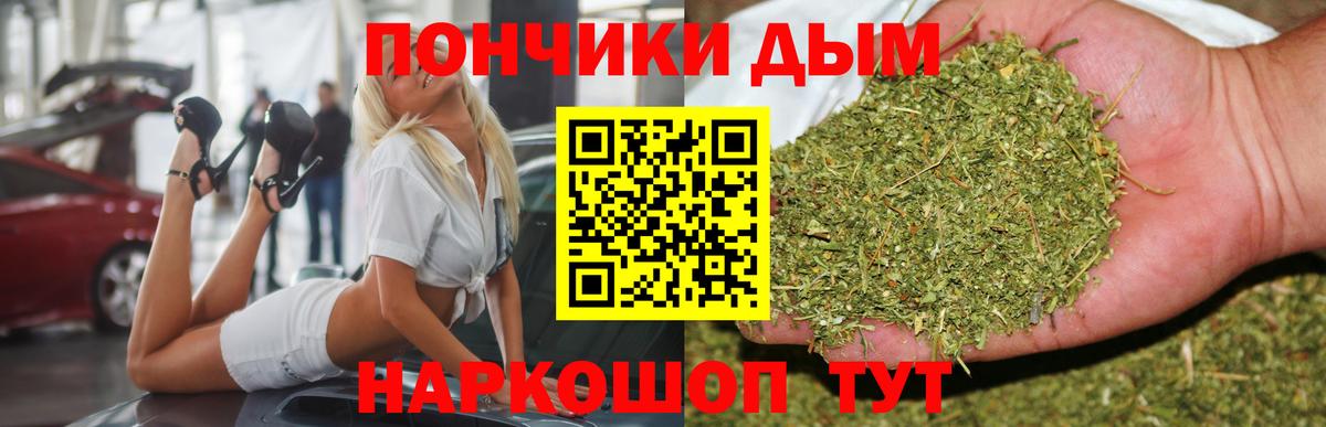 Каннабис план  Шишки марихуана марихуана  Бошки марихуана индика  Вход с VPN  Киров 